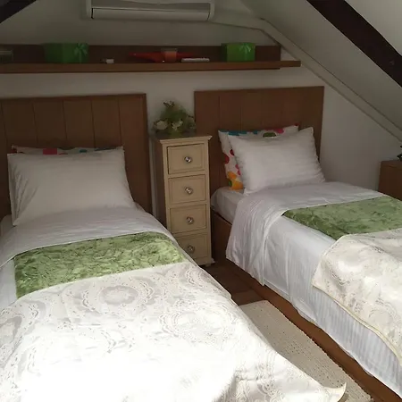 Sunny House Timisoara